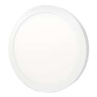 Светильник точечный накладной ЕВРОСВЕТ 24Вт круг LED-SR-300-24 6400К