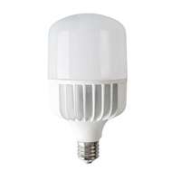 Лампа светодиодная высокомощная ЕВРОСВЕТ 100Вт 6400К (VIS-100-E40)