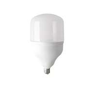 Лампа светодиодная высокомощная ЕВРОСВЕТ 40Вт 6400К (VIS-40-E27)